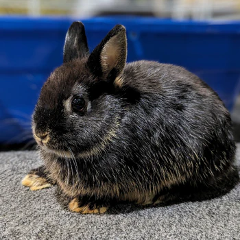 Garden State Pet Center