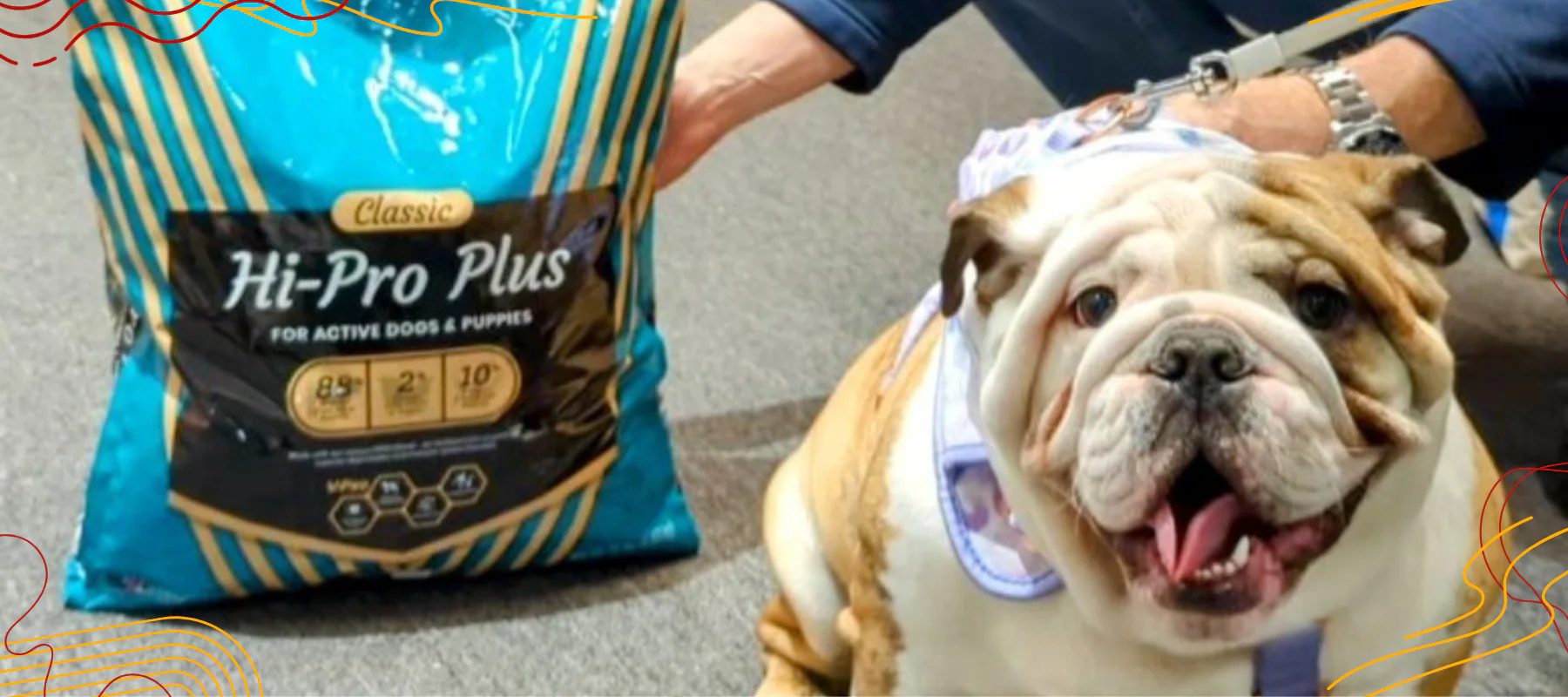 Your Pet's Happy Place