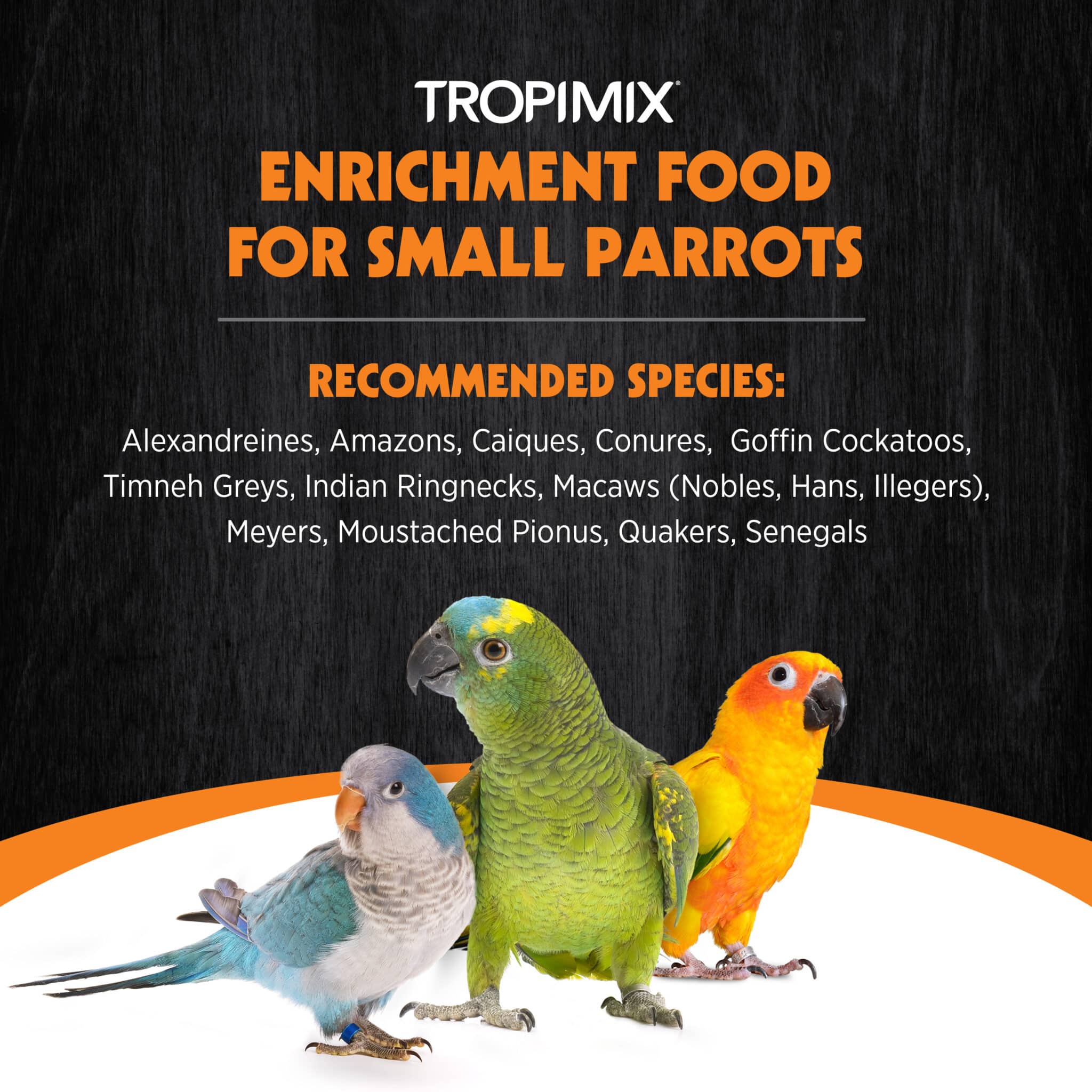 Hagen Tropimix Premium Enrichment Food for Small Parrots - Image 3
